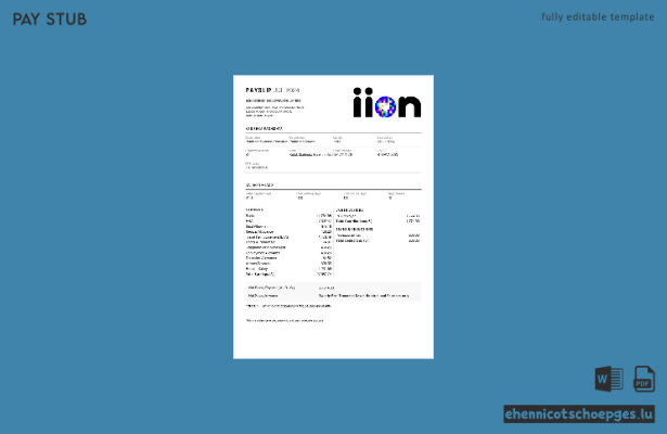 Beispielvorschau für die Gehaltsabrechnung von IION Adtech India